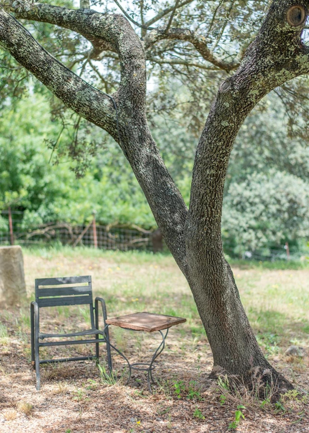 Pensjonat La Umbria De La Ribera El Pedroso Zewnętrze zdjęcie
