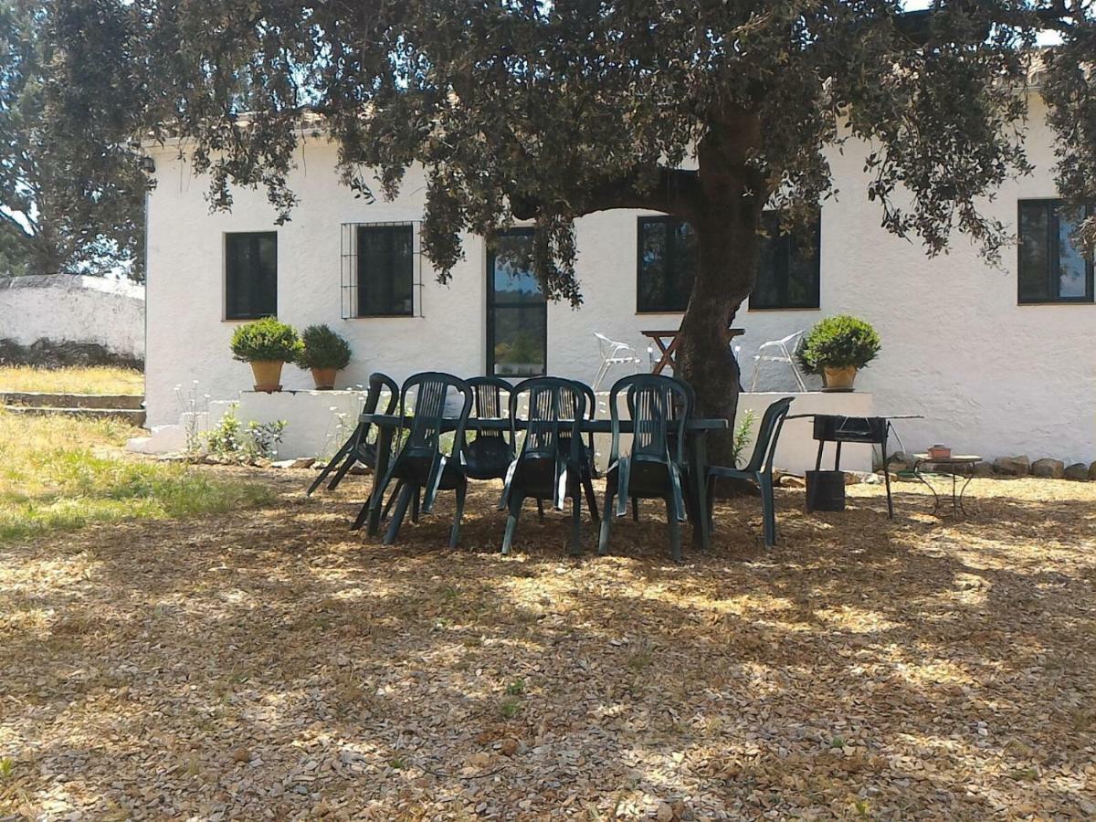 Pensjonat La Umbria De La Ribera El Pedroso Zewnętrze zdjęcie
