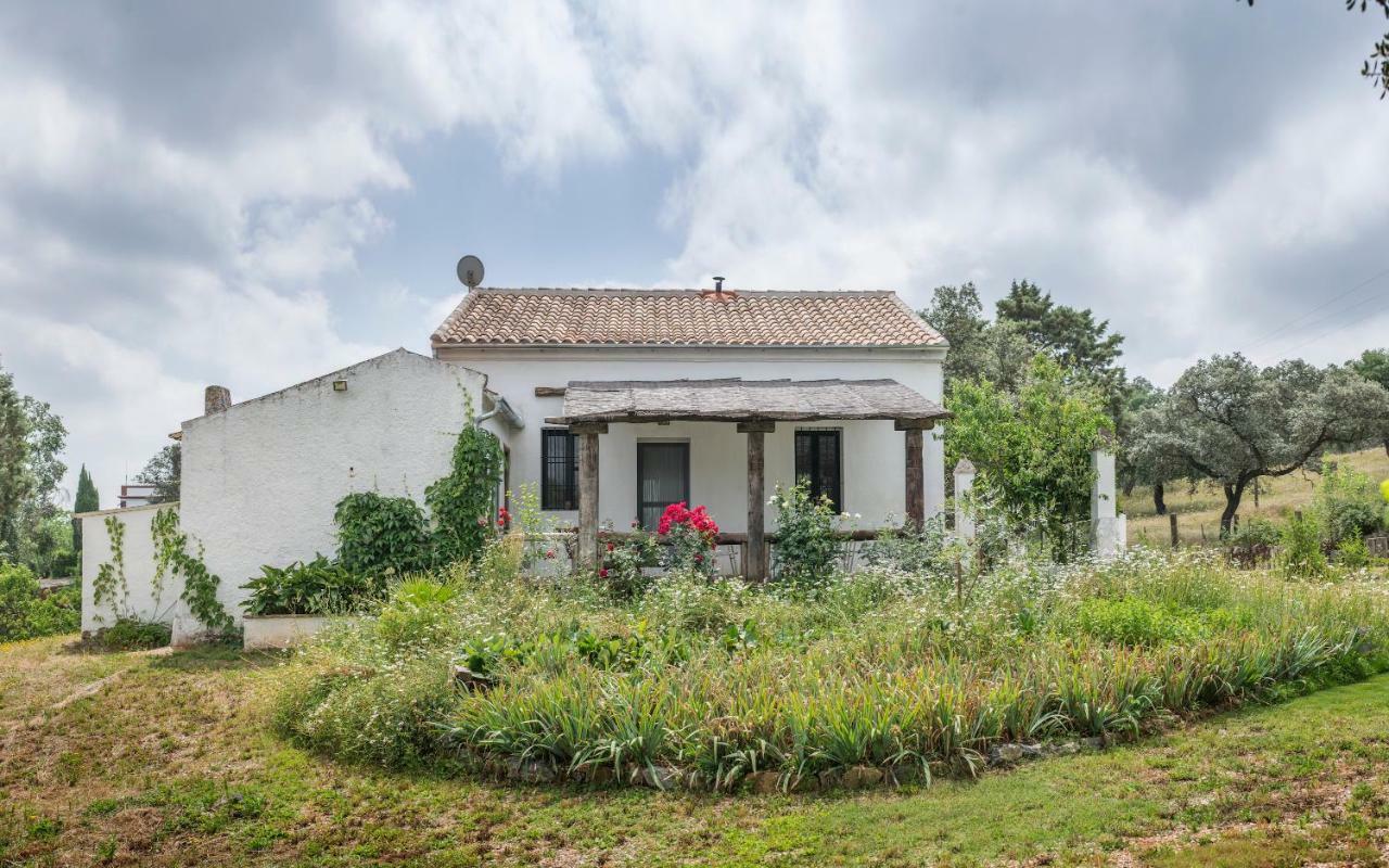 Pensjonat La Umbria De La Ribera El Pedroso Zewnętrze zdjęcie
